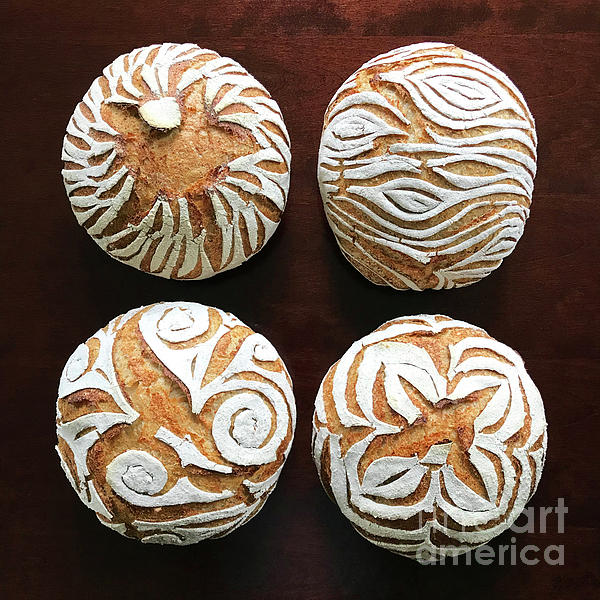White Flour Dusted Sourdough with 4 Score Designs. 1 by Amy E Fraser White Flour Dusted Sourdough with 4 Score Designs. 1 by Amy E Fraser