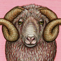 Arles Merino Ram